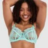 Bryanna Full Cup Underwire Bra - Light Green
