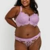 Vamp Back For More Push Up Bra - Lilac