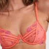 Vamp Can't Get Enough Underwire Bra - Orange